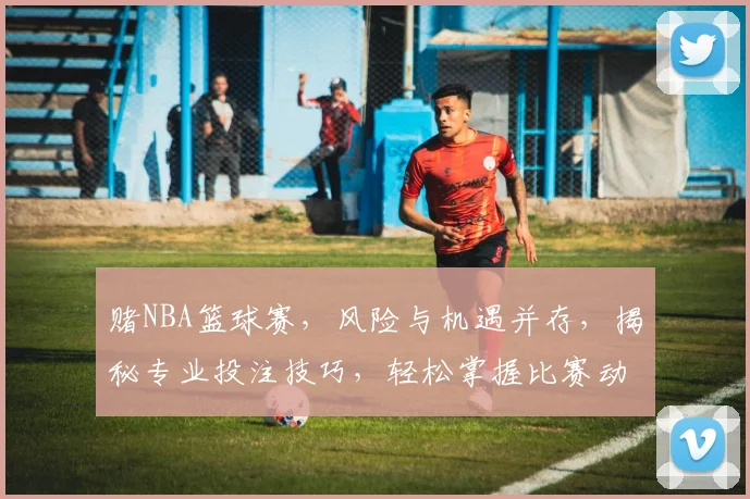 赌NBA篮球赛，风险与机遇并存，揭秘专业投注技巧，轻松掌握比赛动态，赢在起跑线