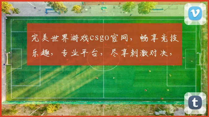 完美世界游戏csgo官网，畅享竞技乐趣，专业平台，尽享刺激对决，三重福利等你来
