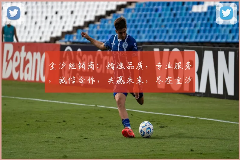 金沙经销商：精选品质，专业服务，诚信合作，共赢未来，尽在金沙