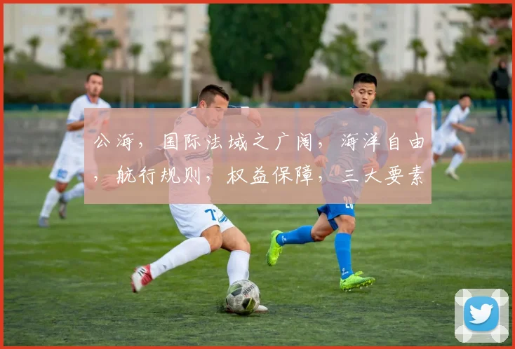 公海，国际法域之广阔，海洋自由，航行规则，权益保障，三大要素，共铸蓝色奇迹。
